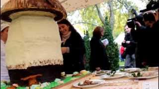 XIV Edición de las Jornadas Gastronómicas de Setas y Caza en Rascafría [upl. by Lamonica694]