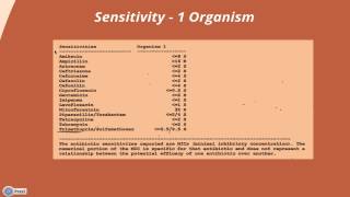 Interpreting a Urine Culture amp Sensitivity [upl. by Nylarej987]