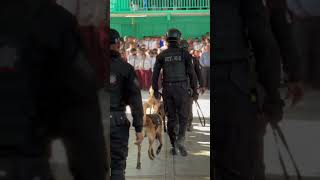 Con el oficial Castañón siempre al servicio de nuestras niñas niños y familias en Santa Catarina🚔 [upl. by Sices161]