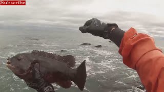 Tautog Surf Fishing Rhode Island [upl. by Aihsekat528]