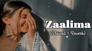 Zaalima SlowedReverb Arijit Singh  Lofi Song  Prashant [upl. by Bonn65]