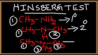 How to distinguish between Amines  Hinsberg reagent test [upl. by Arakihc]