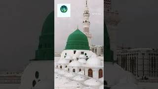 pyari Nabi ki pyari naat gali gali saj gai trending naatsharif viralvideo [upl. by Dareen]