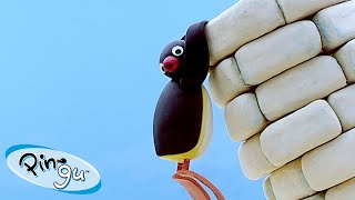 Pingu Builds a Tower 🐧  Pingu  Official Channel  Cartoons For Kids [upl. by Galatea185]