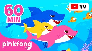 Baby Shark Dance More and More  Doo Doo Doo 60 Min  Baby Shark NonStop  Pinkfong Songs for Kids [upl. by Jayme]