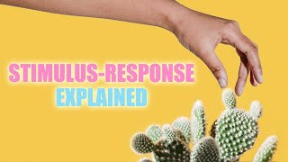 StimulusResponse Reflexes and Homeostasis [upl. by Yarezed]