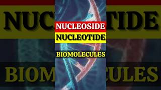 Nucleoside amp NucleotideBiomoleculeOrganic chemistryshorts [upl. by Harneen]