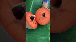 SAWO RAKSASA Mamey sapote [upl. by Pyotr]