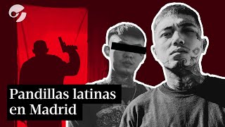 PANDILLAS latinas de España cuáles son y por qué causan TERROR los grupos violentos con armas [upl. by Aneehsar]