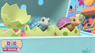 Shell You Later  Doc McStuffins Pet Rescue  Disney Junior [upl. by Pontus]