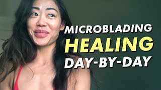 Microblading daybyday review  Eyebrow healing process experience  30 days  Eye Design NY [upl. by Ahearn372]