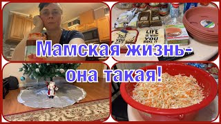 🇺🇸VLOG Это старость Не дождалась 1 мая Сходили за «хлебушком» Посоветуйте турецкий сериал [upl. by Herring]