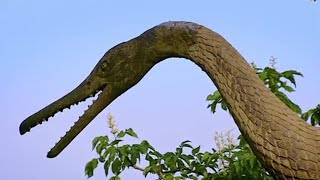 Dinosaurs The Facts and Fiction  How to Build a Dinosaur  BBC Earth [upl. by Hoxie]