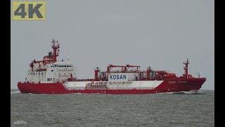 TESSA KOSAN  Shipspotting Germany 🇩🇪 Elbe near Otterndorf  4K VIDEO [upl. by Nat413]