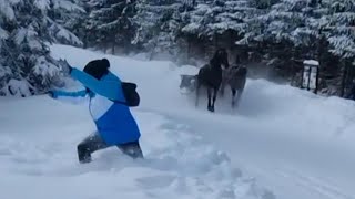 Ucieczka koni z Morskiego Oka [upl. by Airdna]