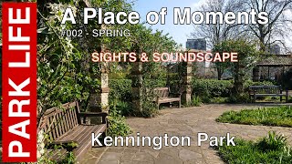 Kennington Park Springtime Sights and Soundscape  002 [upl. by Ajaj]