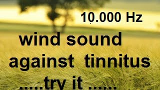 10 minutes wind at 10 000 Hz as sound therapy for tinnitus acouphènes [upl. by Ernie]