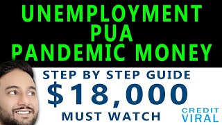 How To Apply For Unemployment PUA  18000  Pandemic Assistance Benefits  Step By Step Guide [upl. by Elise]