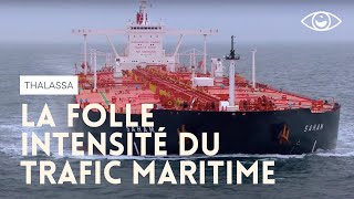 Pas de Calais  la folle intensité du trafic maritime  Thalassa [upl. by Erline540]