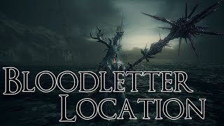 Bloodborne How To Get The Bloodletter The Old Hunters DLC [upl. by Rasure]