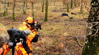 Battue au sanglier avec une BROWNING BAR4X [upl. by Clayton]