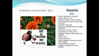 conseils jardinage Gazania kiss fiche technique plante annuelle [upl. by Jegar]