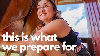 This is what we prepare for Homesteading after the Hurricane  VLOG [upl. by Noteek]