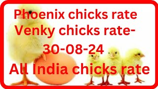 today chicks rateব্রয়লার বাচ্চার দাম [upl. by Markson]