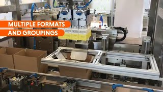 American Box PickandPlace Automatic Packaging Machine [upl. by Burnett]