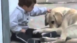 Kind met Down Syndrome speelt met hond [upl. by Ahseiym]