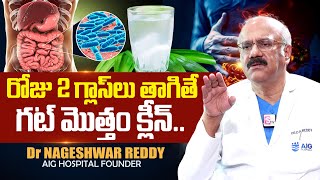 రోజు 2 గ్లాసులు తాగితే మీ గట్ క్లీన్ Food to Improve Gut Health in Telugu  Dr Nageshwar Reddy [upl. by Salahcin]