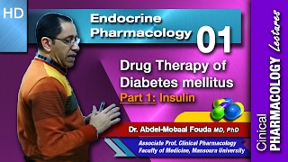 Endocrine Pharmacology Ar  01  Diabetes mellitus  Part 1 Insulin [upl. by Cain]