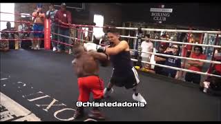 Midget vs Dwarf Boxing  Mini DaBaby Tyson vs Human Tetris Long Limb Thomas [upl. by Namas]