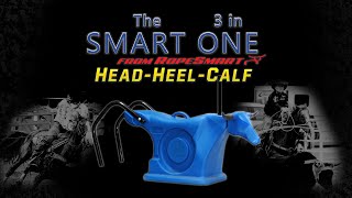 RopeSmart Smart One 3in1 Dummy  RopeSmart Product Reviews [upl. by Soma540]