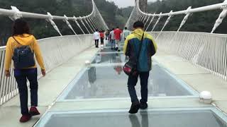 Chinas Glass Bridge National Forest Park Zhangjiajie [upl. by Neerehs]