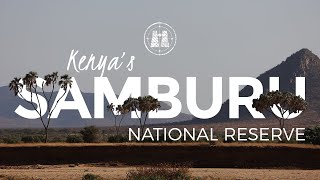 Samburu National Reserve Kenya  2023 [upl. by Elem]