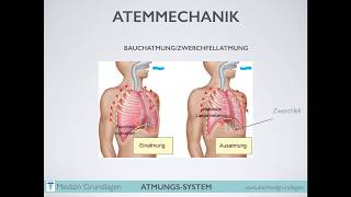 Atmung Atmungsantrieb Medizin Grundlagen Teil 2 [upl. by Asiret]