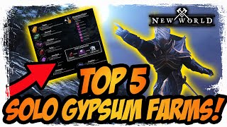 Top 5 Gypsum farms for solo players  New World [upl. by Nirek]