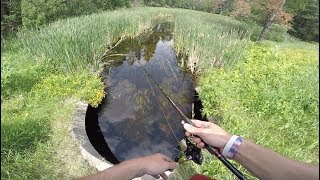 Roadside Small Creek Fishing For Clear Water Bass [upl. by Ahsinad]