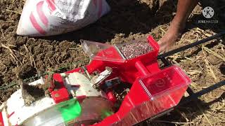 Corn maize planting using push seeder Paano magtanim ng mais gamit ang corn planter PIONEER seeds [upl. by Akfir]