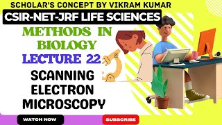 Scanning Electron Microscopy  Microscopy  Methods in Biology [upl. by Pandora]