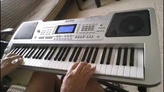 Aiersi Midi Touch Response Oriental Electronic Organ [upl. by Amando]