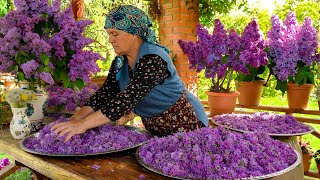 Fresh Spring Lilacs Picking How to Preserve the Scent of Spring 🌿 [upl. by Domini]