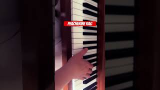 EASY PIANO TUTORIAL Peacherine Raglearntoplaypianotutorial shorts [upl. by Nipahc]