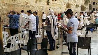 Davening at the Western Wall [upl. by Enomsed418]