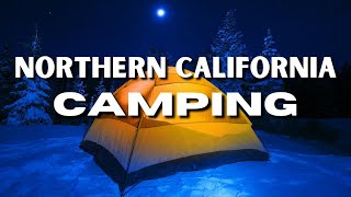 The 12 BEST Camping Sites In Northern California [upl. by Ahtram]