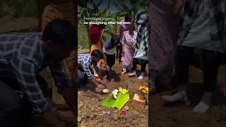 Bhoomi Poojan bhoomifarms goorganic ytshorts [upl. by Romelle]