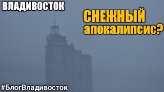 Снежный апокалипсис во Владивостоке Состояние дорог обзор 30112021 блогвладивосток [upl. by Leihcar57]