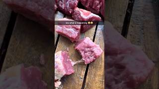 PULSING MEAT EXPLAINED in description [upl. by Osmo]