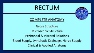 Rectum Complete Anatomy Fascia of Denonvillier Fascia of Waldeyer Rectovesical Pouch Dr SAM [upl. by Vinna]